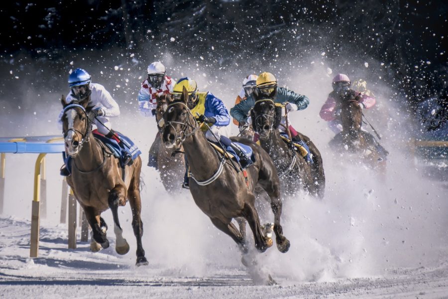 競馬は楽天競馬がオススメ