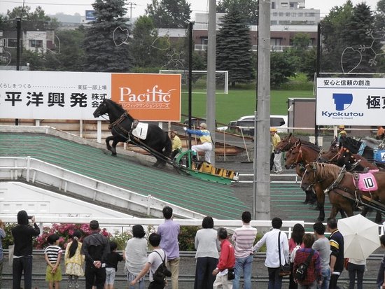 ばんえい競馬・第2障害