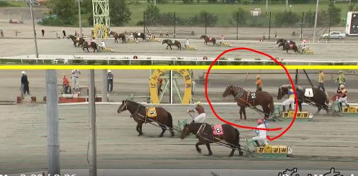 ばんえい競馬・一発逆転ショー